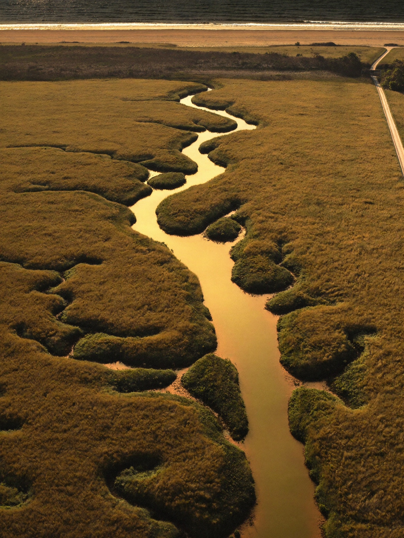Aerial view of tidal creeks winding through the golden salt marsh of the Guana River Reserve