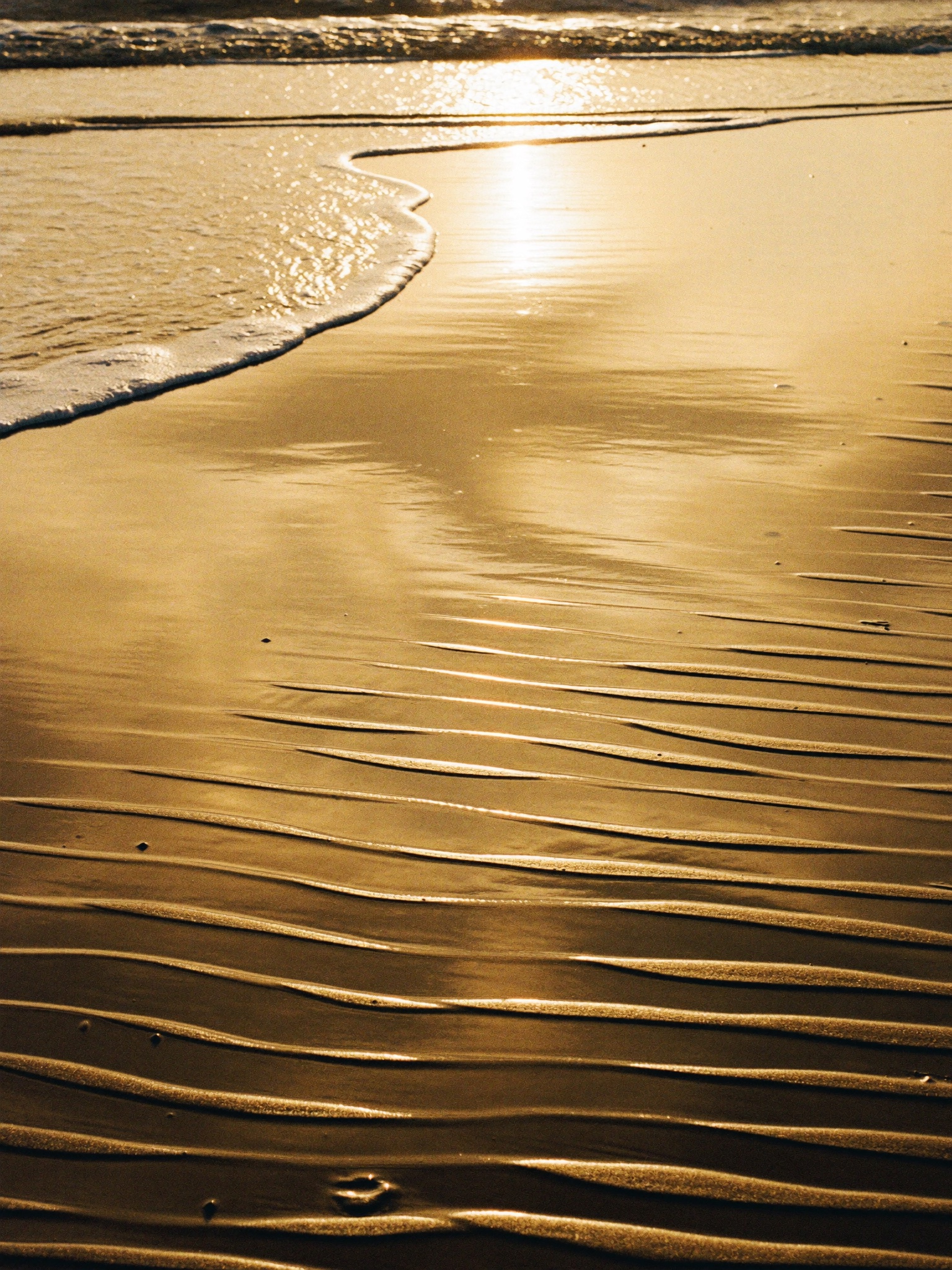 Ribbed wet sand glowing gold at low tide